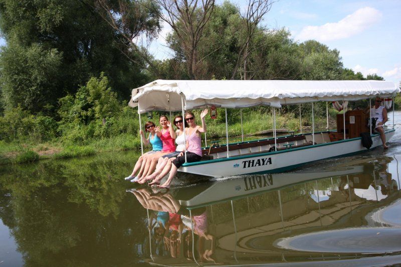 Pohoda na Staré Dyji